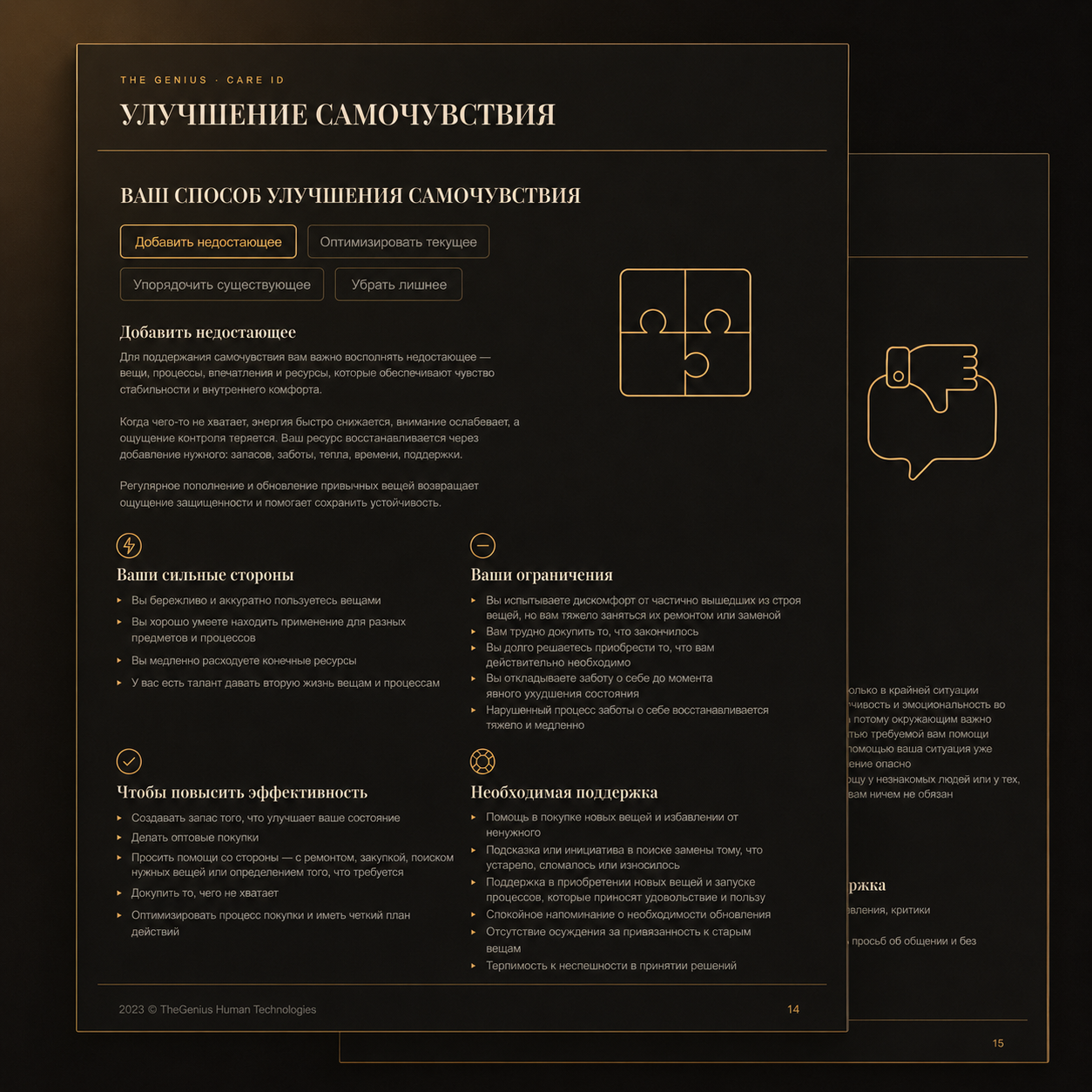 Pages of the Care ID report