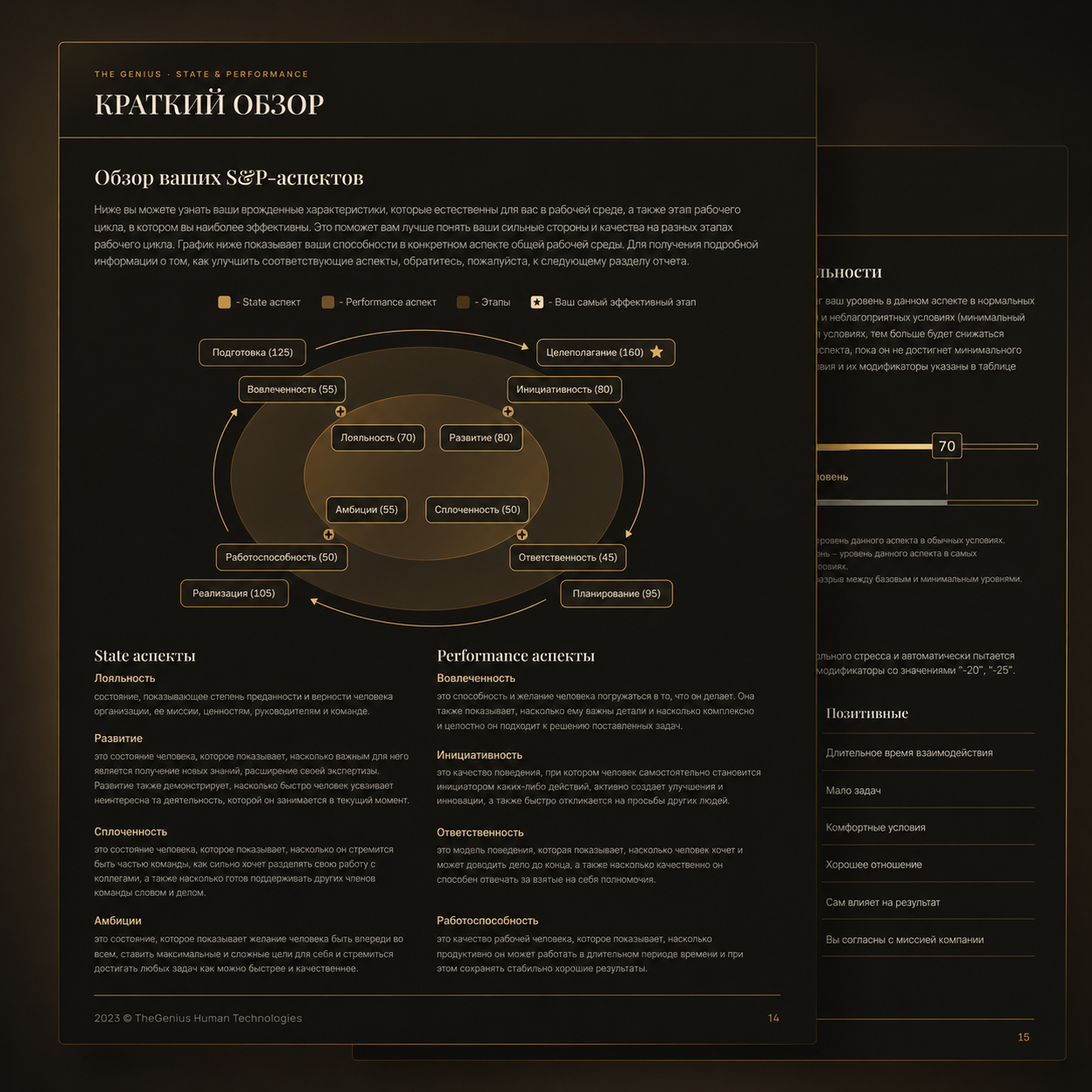 Pages of the State & Performance report