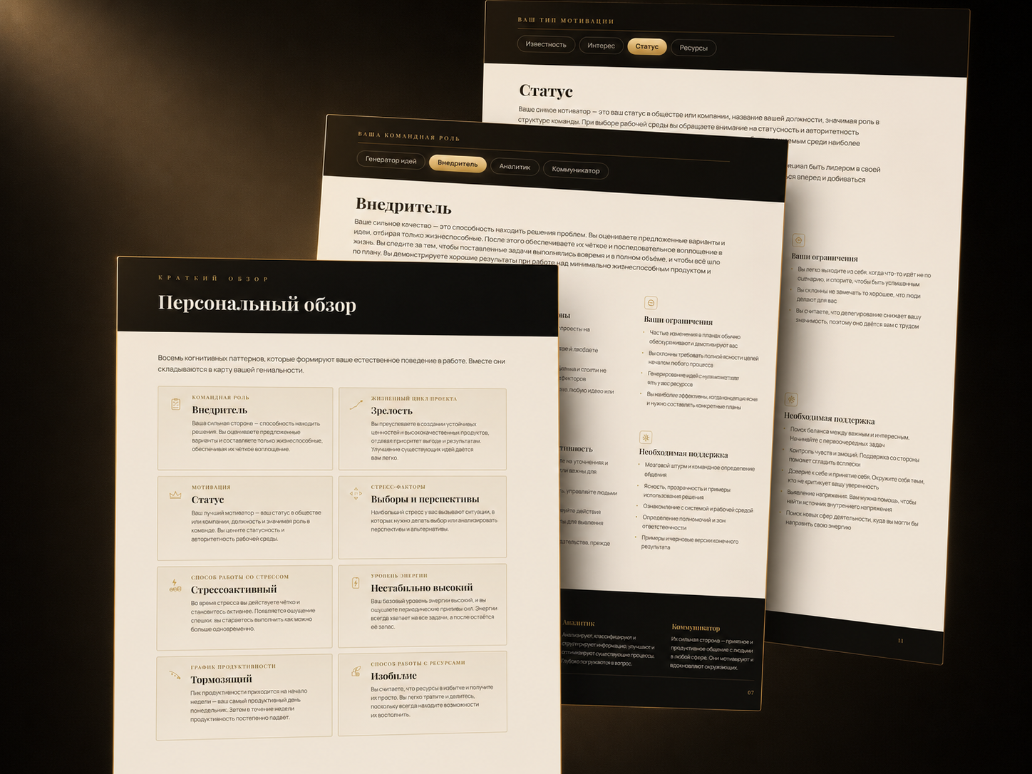 Pages of the personal Leadership Discovery portrait